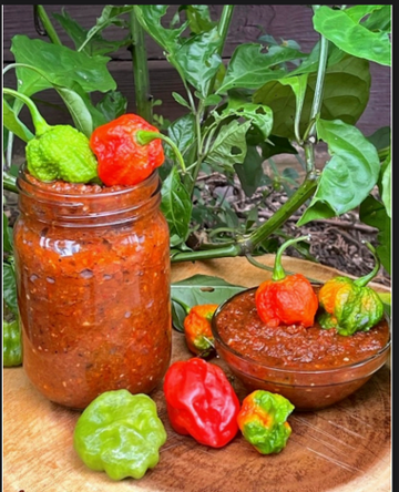 Jamaican Hot Pepper Sauce